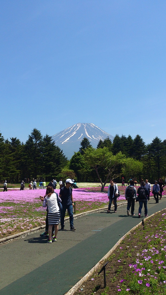 Mt.Fuji for topic v3 27-5-19